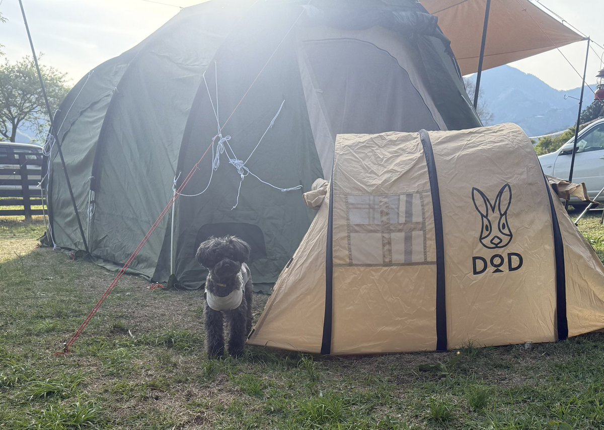 チーカマすたいる