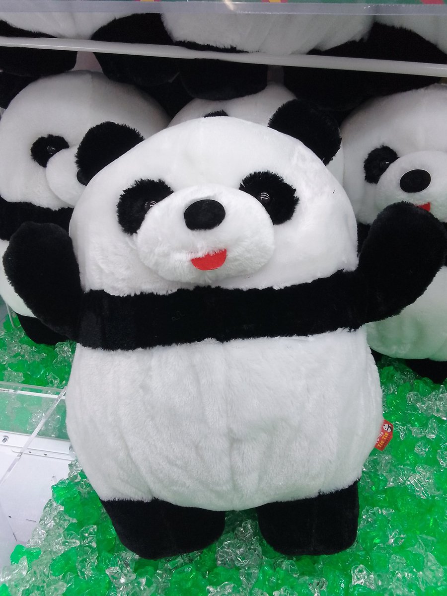 パンダ•*¨*•.¸♬︎ 6点リクエスト パンダのタイタイ