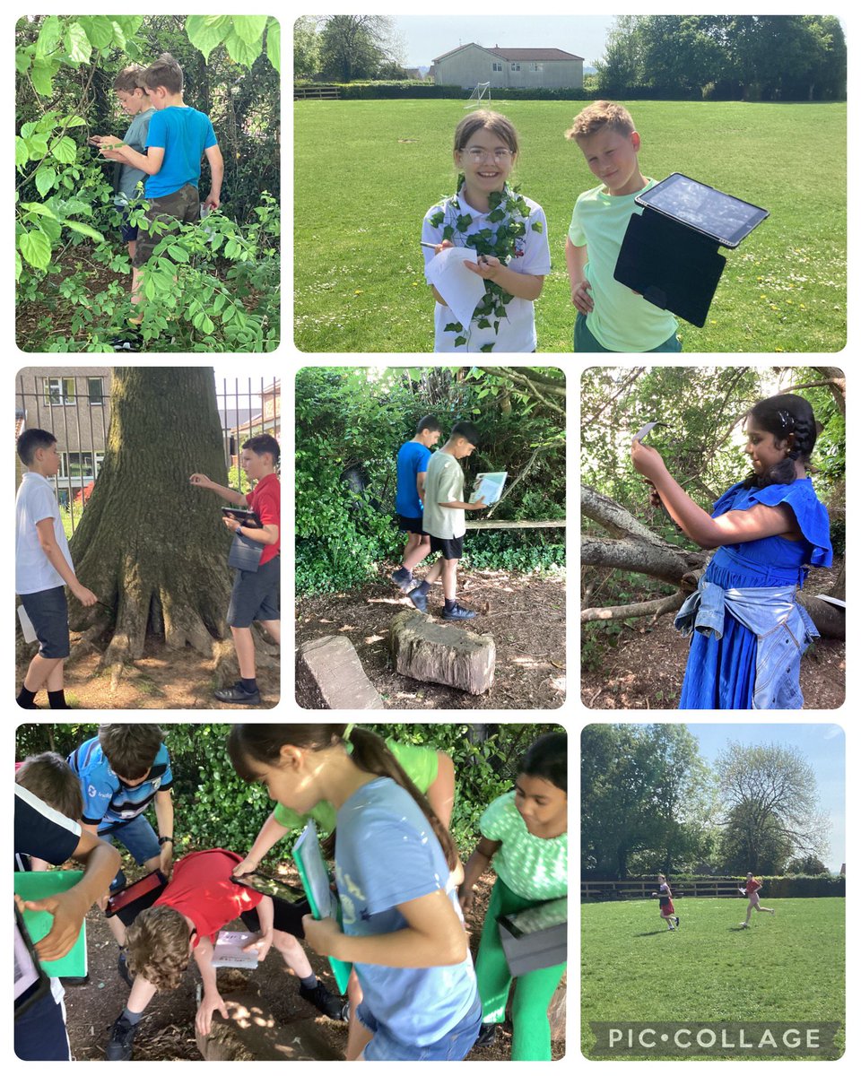 We’ve gotten stuck into our ‘One Earth’ topic this term exploring our environment! #ACL #EIC #HCI #5RP