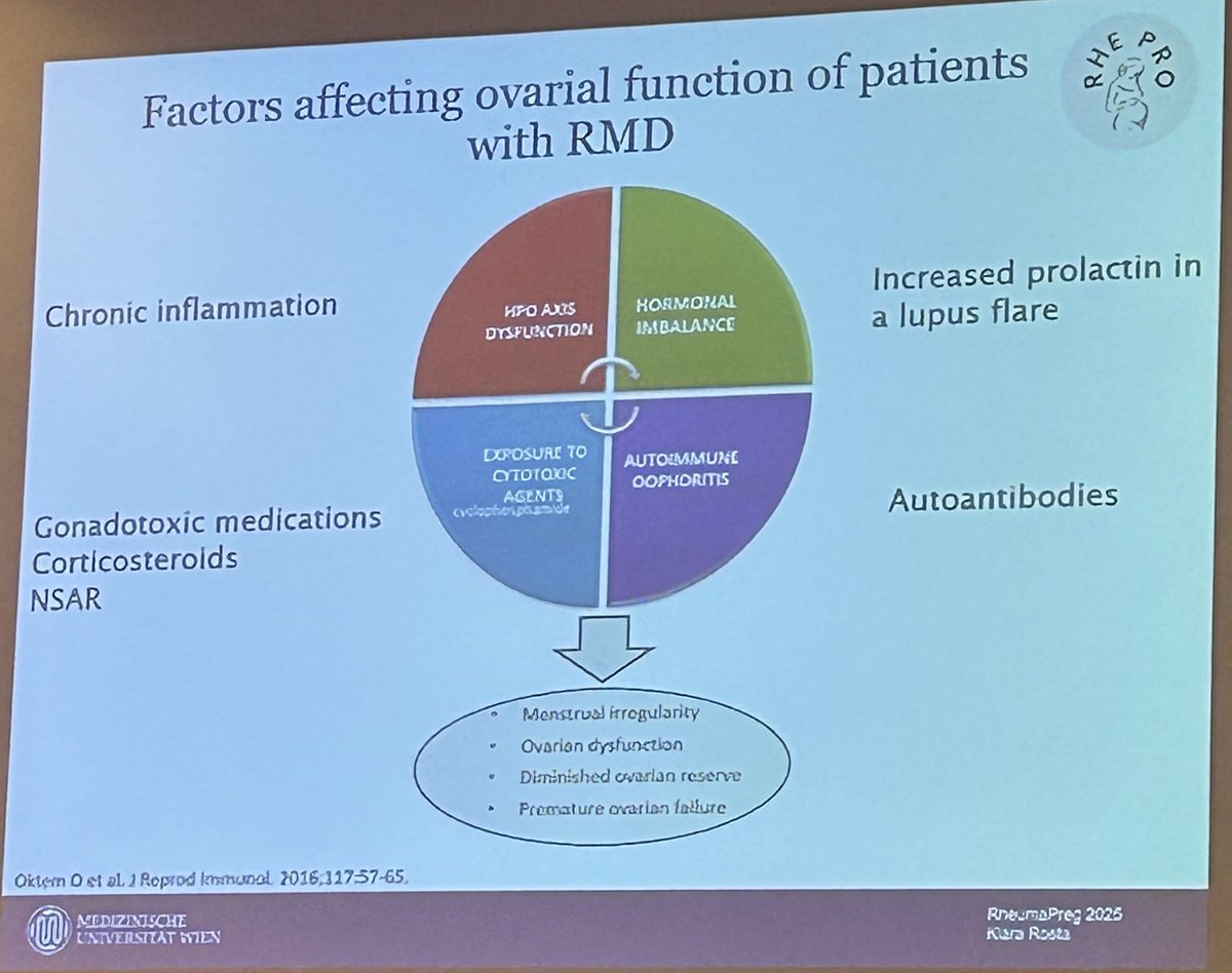 Cassy Sims, MD (@drcassysims) on Twitter photo What can impact fertility for women with rheumatic conditions? <a href="/RheumNow/">Dr. John Cush</a>
💥chronic inflammation can impact HPA axis
💥medications (CYC, NSAIDs, steroids)
💥increased prolactin during disease flare
💥autoantibodies What can impact fertility for women with rheumatic conditions? <a href="/RheumNow/">Dr. John Cush</a>
💥chronic inflammation can impact HPA axis
💥medications (CYC, NSAIDs, steroids)
💥increased prolactin during disease flare
💥autoantibodies