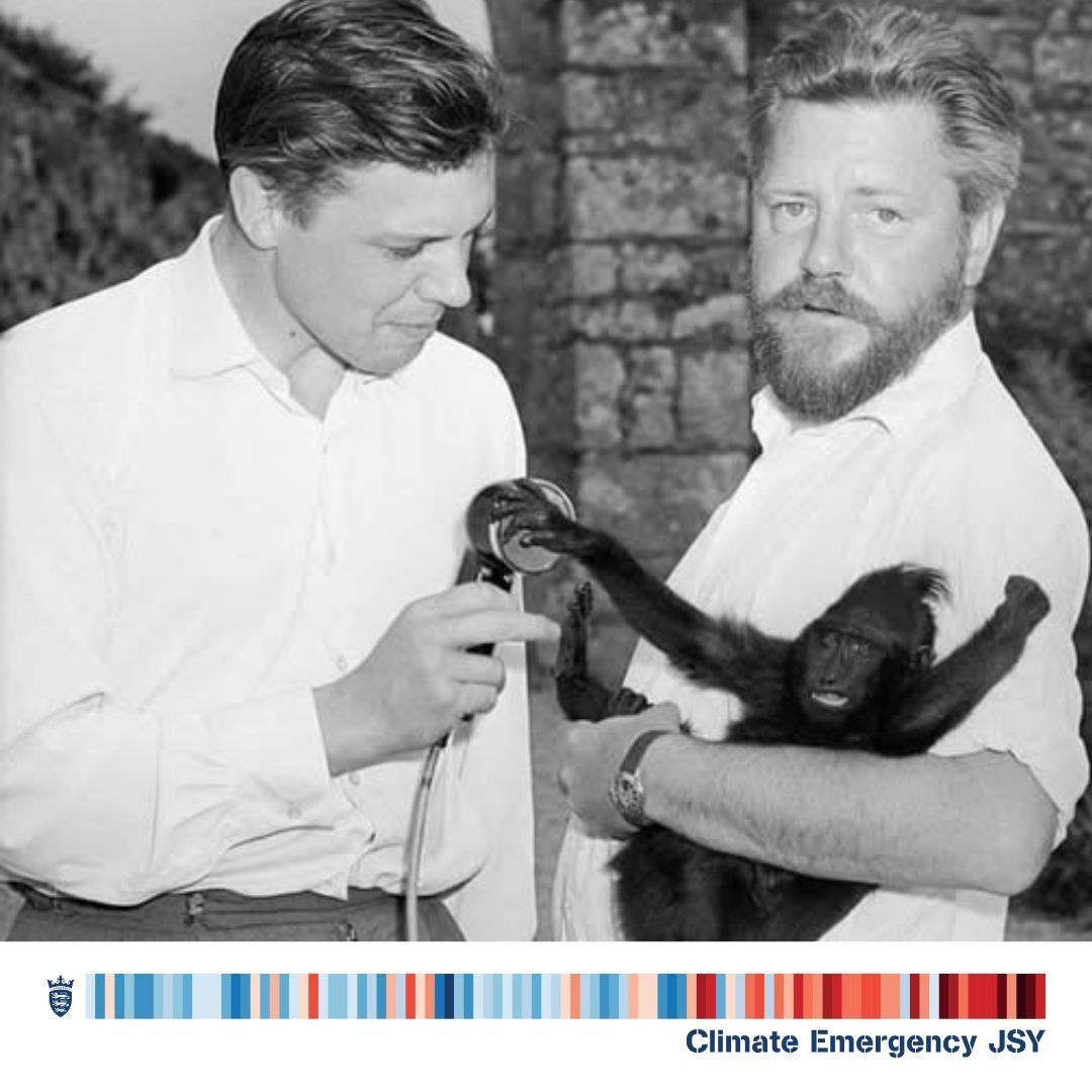 🎉 Today marks the 99th birthday of Sir David Attenborough, a lifelong advocate for the natural world. Through compelling storytelling and advocacy, he has inspired millions to appreciate and protect our planet. 🌍💚