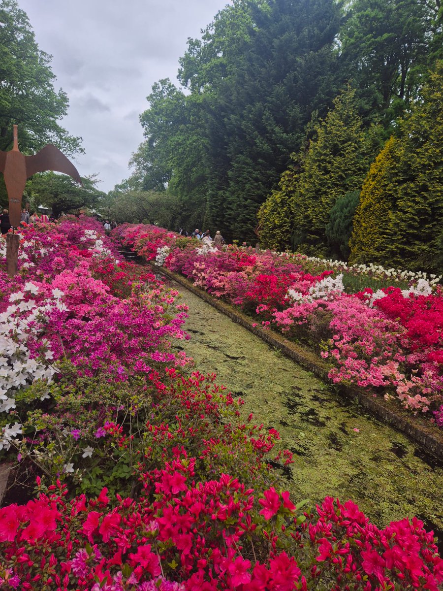 RiverVoyages's tweet photo. A perfect day off-ship in Amsterdam, visiting the famous Keukenhof Gardens 🌷

Secure your own European sailing to see them for yourself ➡️ https://t.co/w66oAyvZub https://t.co/c315xAxkeb