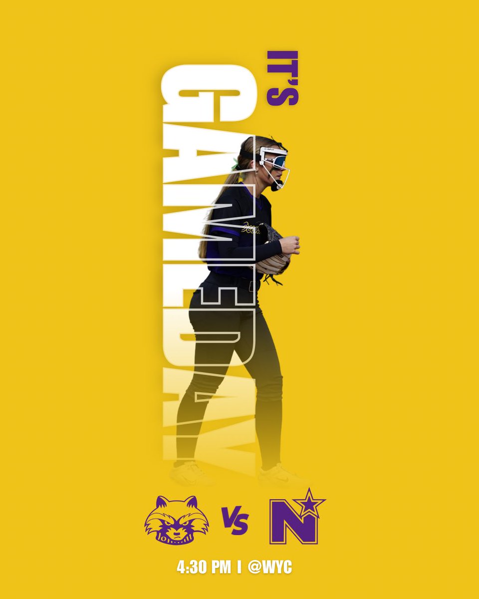 Oconomowoc High School Softball tweet media