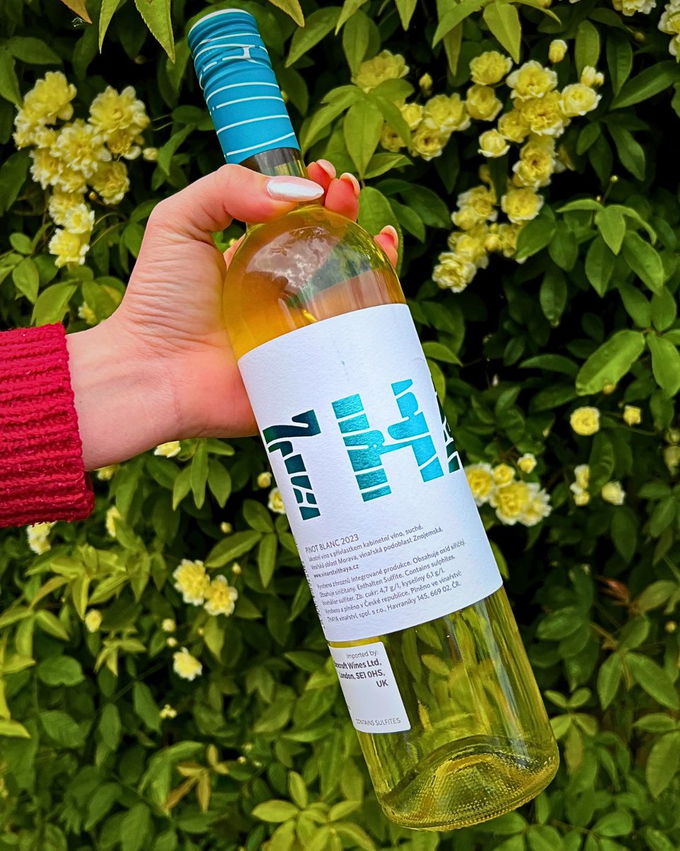 Pinot Blanc from 🇨🇿? This crisp Moravian white is all citrus, lime and apple with a steely edge, grown just north of Kamptal in a region gaining serious attention.

Will you give this Czech wine a try? 🍷