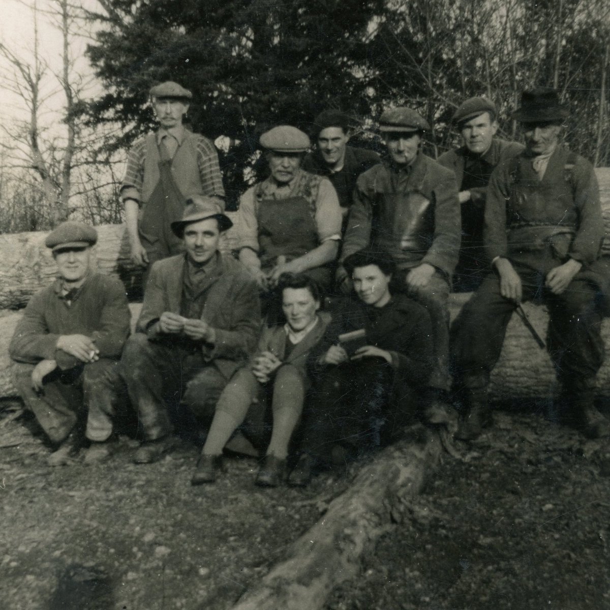 On #VEDay, we look back through the eyes of William Dallimore, curator of Bedgebury Pinetum, whose diaries through WW11 reveal how war reshaped forestry and how women stepped in to keep Britain’s timber supply going🌲

Read more 👉rb.gy/qeyfv1