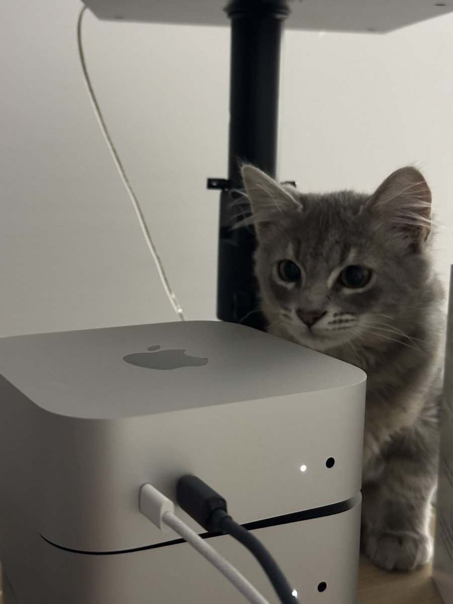 francidellamora's tweet image. rate my setup