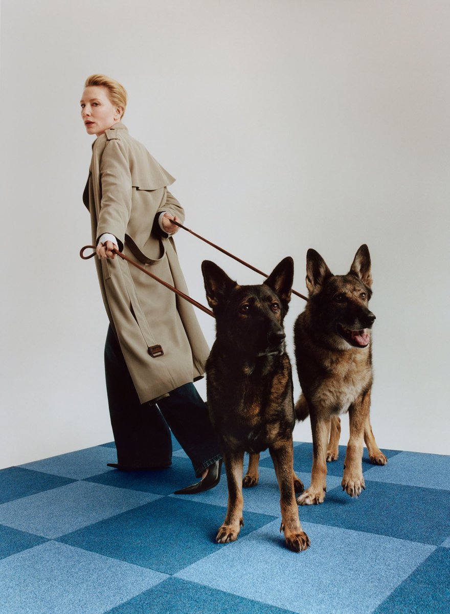 bbblanchett's tweet photo. cate blanchett oh my god https://t.co/JcRGoDXh8b