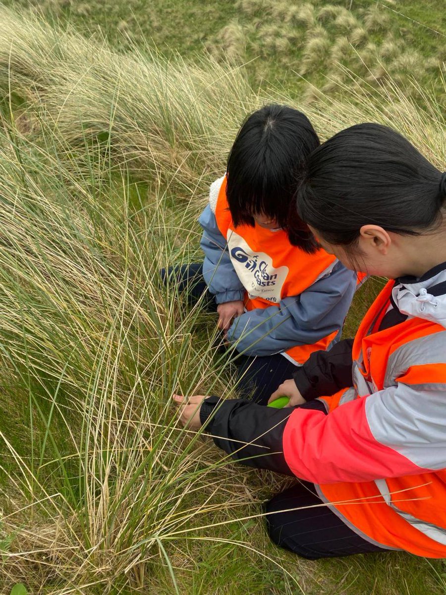 Clean Coasts (@cleancoasts) on Twitter photo TY Students from <a href="/PresSecTralee/">Presentation Secondary School Tralee</a> take #Biodiversity action with dune restoration at Banna Beach! 🌱🏖️
A day of learning about local biodiversity, special areas of conservation and special protection areas. 💙
#CleanCoasts #DuneRestoration #SaveOurDunes TY Students from <a href="/PresSecTralee/">Presentation Secondary School Tralee</a> take #Biodiversity action with dune restoration at Banna Beach! 🌱🏖️
A day of learning about local biodiversity, special areas of conservation and special protection areas. 💙
#CleanCoasts #DuneRestoration #SaveOurDunes