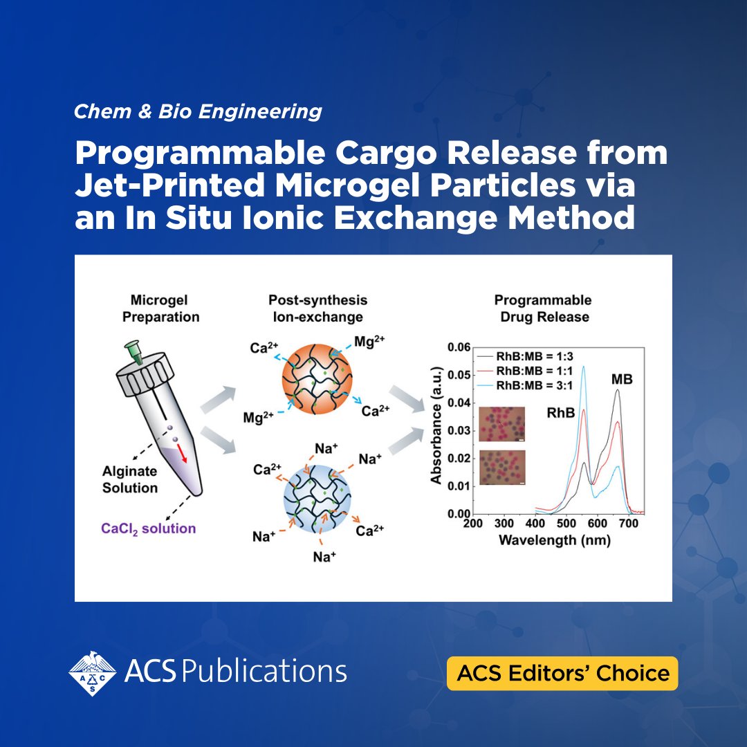 'Programmable Cargo Release from Jet-Printed Microgel Particles via an In Situ Ionic Exchange Method' from Chem &amp; Bio Engineering is an open access #ACSEditorsChoice.

📖 Read the article: go.acs.org/czQ