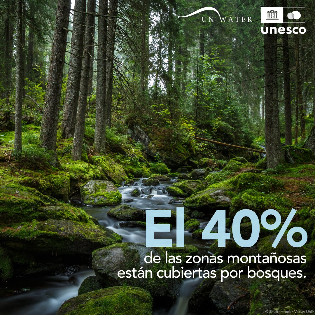 🌲Los bosques de montaña son barreras naturales que nos protegen frente a riesgos al estabilizar las laderas y mitigar la degradación del suelo.

Pero la deforestación y la contaminación amenazan estos ecosistemas.
¡Preservemos la vida que depende de ellos!unesco.org/reports/wwdr/e…