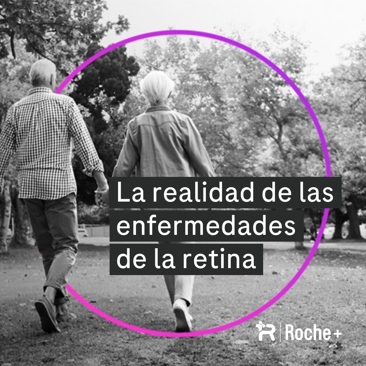 Las enfermedades de retina son cada vez un problema más extendido en el mundo, especialmente la Degeneración Macular Asociada a la Edad (#DMAE) y el Edema Macular Diabético (#EDM).

Estas patologías pueden tener un impacto importante en el día a día de los pacientes y su entorno.