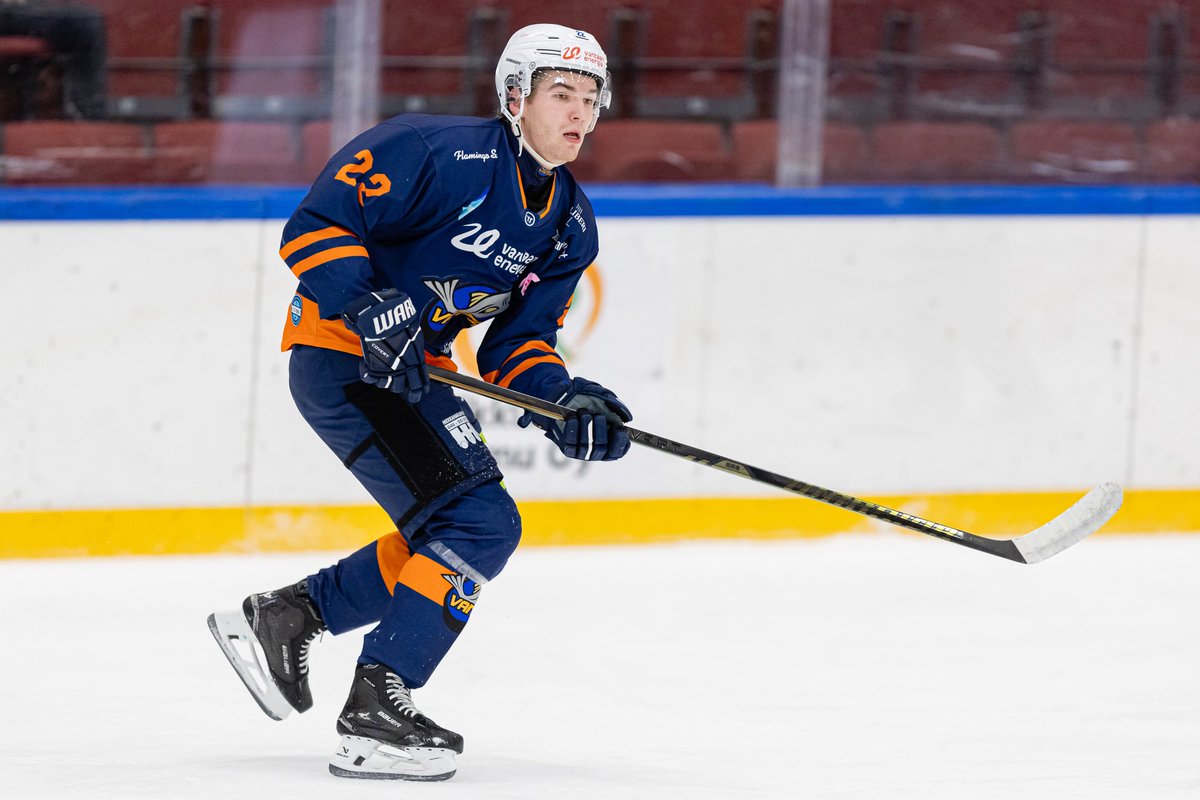 Laidoissa ryskätään ja verkko heiluu - Turbo jatkaa Lohipaidassa🔥

#KVantaa #Mestisfi #LohiMäärää