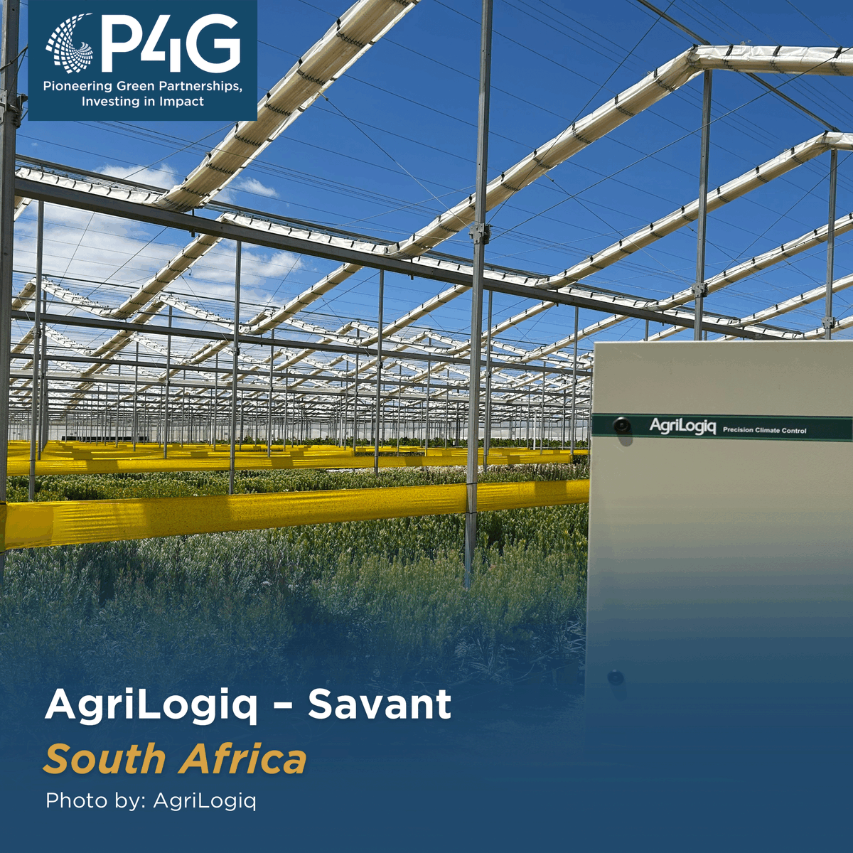The Agrilogiq – Savant Technology Incubator partnership is scaling an integrated and automated greenhouse farming system in South Africa to give farmers real time insights and a year-round growing season. Learn more. bit.ly/3FMu7IR #PioneeringGreenPartnerships