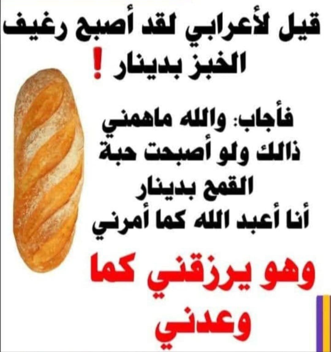 Abdelnasr Shoeb (@abdelnasrs34720) on Twitter photo 