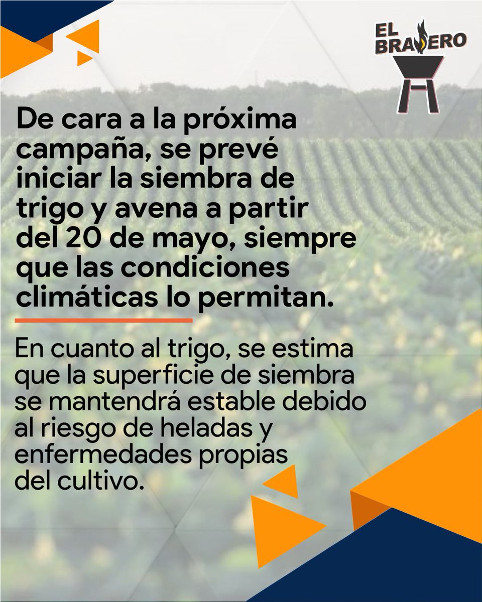 Lluvias trajeron alivio y preparan siembra de invierno