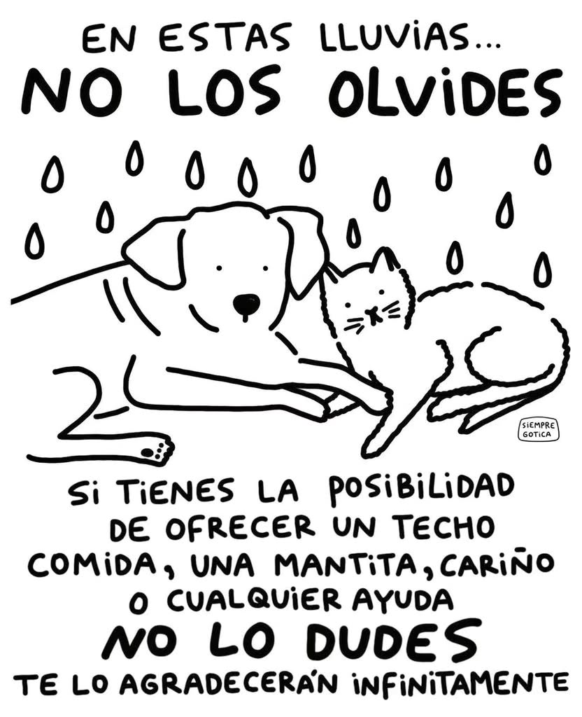 Siempre se puede hacer algo, no duden en dar una manito a quienes lo necesitan. 🙏🏻

#Lluvia
