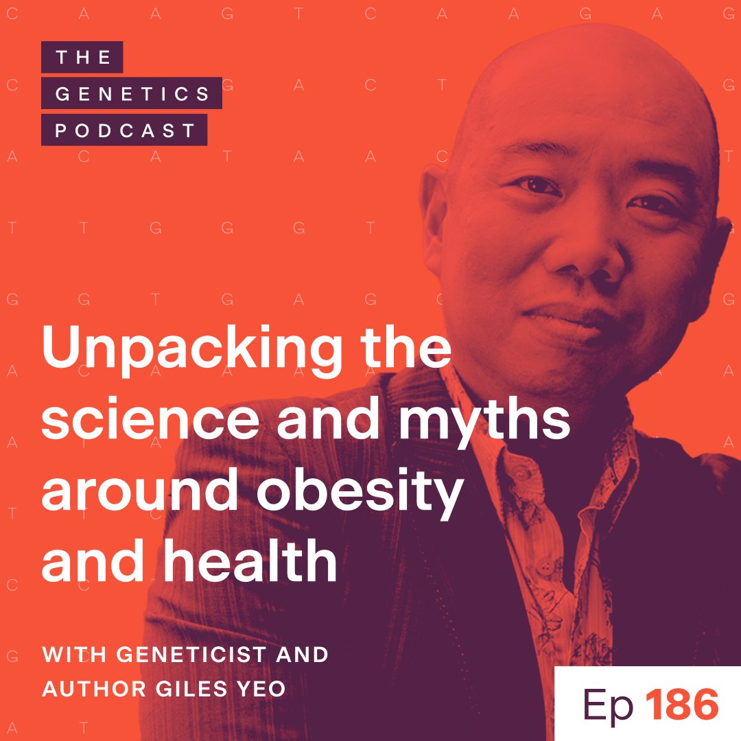 🎙️Tune into Episode 186 of #TheGeneticsPodcast 🚀

This week we’re joined by <a href="/GilesYeo/">Giles Yeo</a>, geneticist and author. He and <a href="/patrick_j_short/">Patrick Short</a> discuss the genetic and neural bases for obesity, the recent explosion in effective and safe obesity drugs, and nuanced perspectives on calorie
