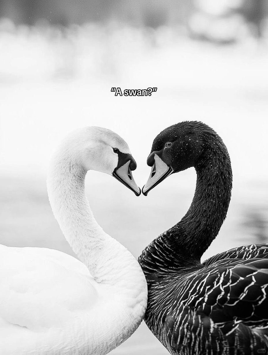 babyylevv's tweet photo. power of love. https://t.co/3AP43y6rP2