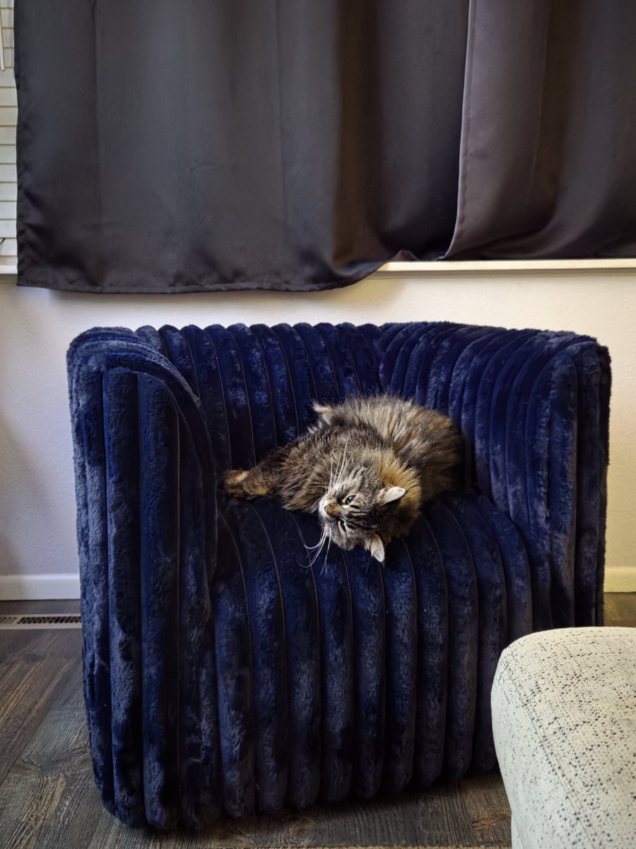 Kimberlee Carter tweet media