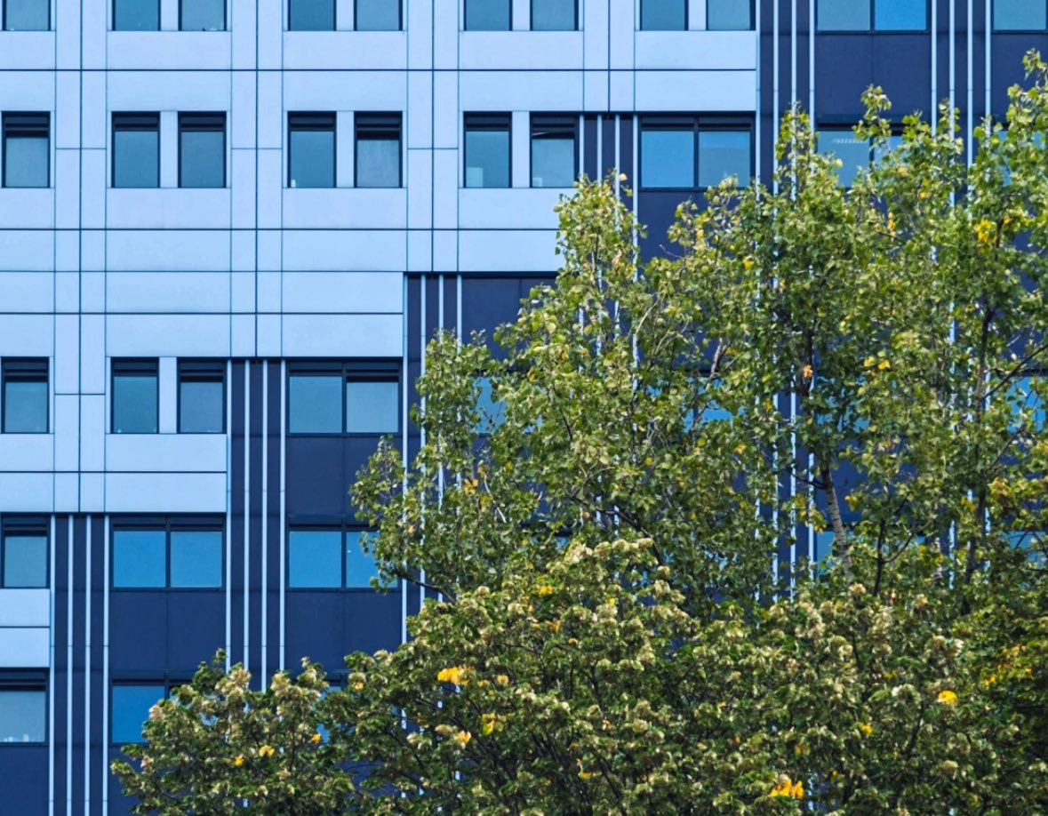 Boston Consulting Group’un Workday iş birliğiyle hazırladığı, sürdürülebilir büyüme potansiyelini belirleyen göstergeleri ve bunu başarmış liderlerin iyi uygulamalarını ele alan yeni raporu yayında 👉

bcg.com/publications/2…