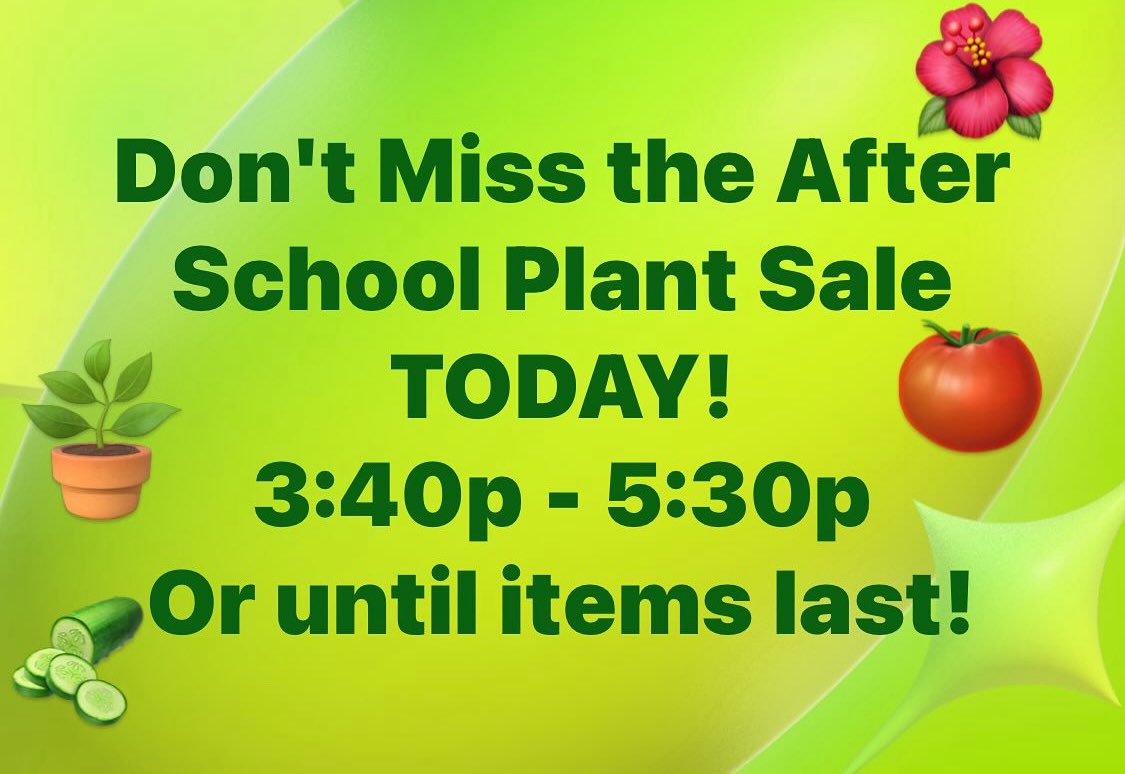 Flats, hanging baskets, vegetables, deck pots and more still available! Don't miss it!