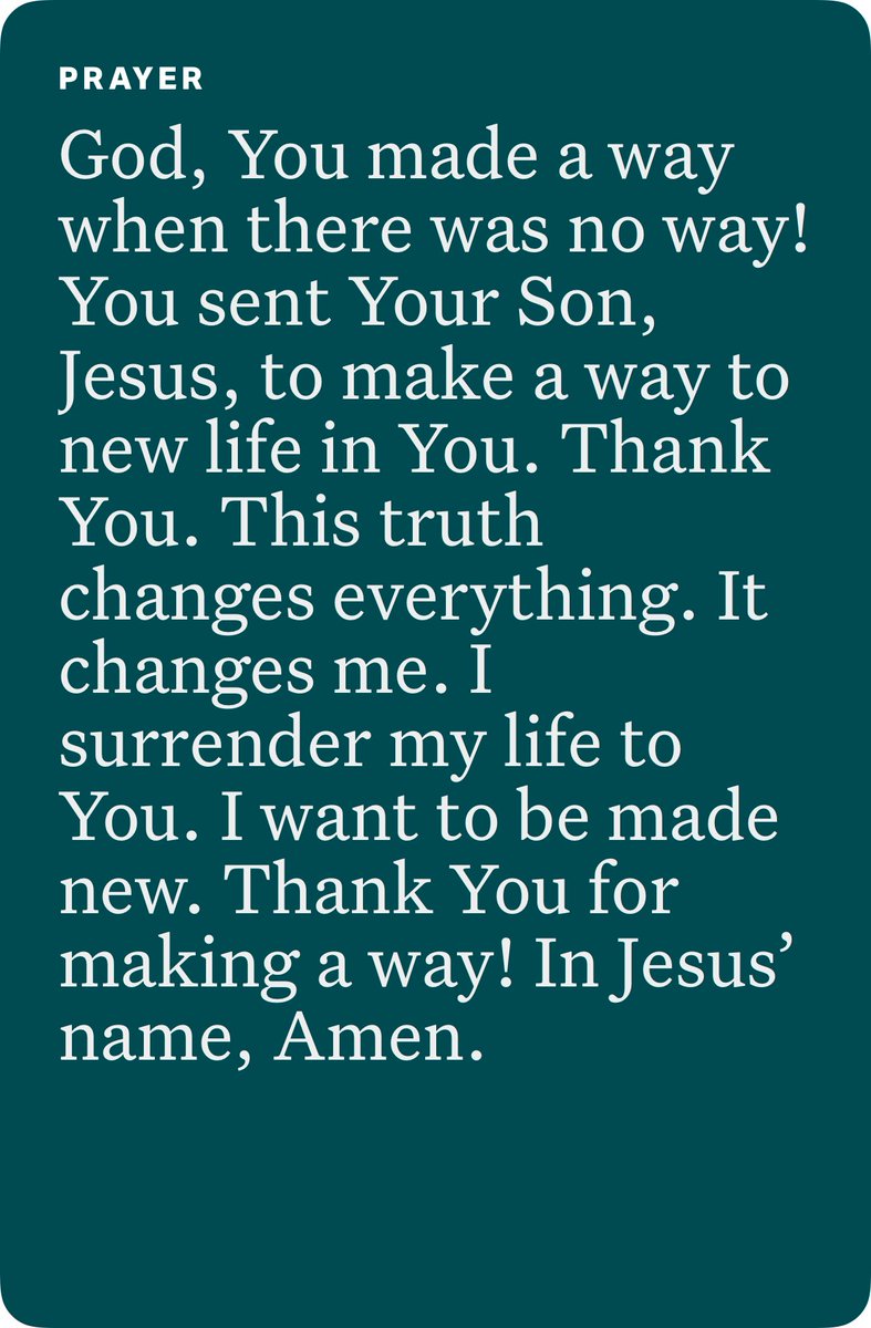 🇺🇸Tom Harness🇺🇸 tweet media