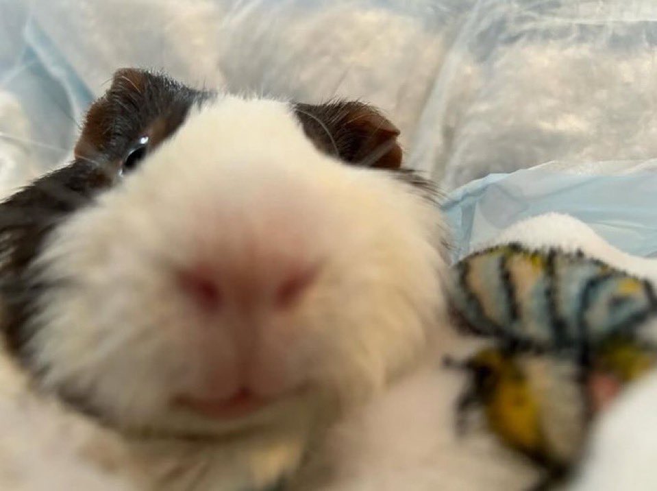 제발.. 제발료…