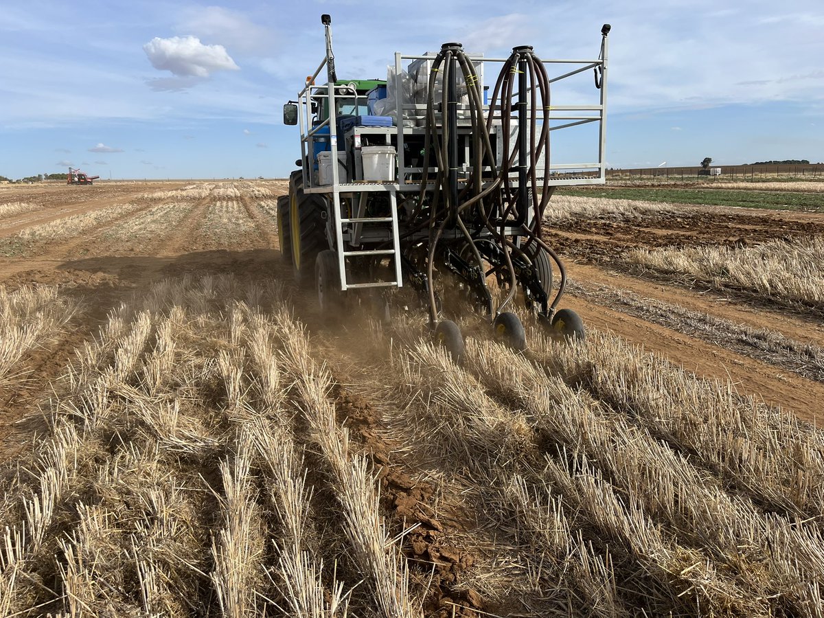 Captain Chickpea &amp; Amberley faba sown into good moisture at 4-5cm on 7th May in our 8th year <a href="/CSIRO/">CSIRO</a> <a href="/theGRDC/">GRDC</a> Greenethorpe FS exp. 

With only 3mm rain in April, good summer weed control + heavy stubble providing perfect conditions for sowing pulses. Thanks Tom-BARS,  Matt-Kalyx😊