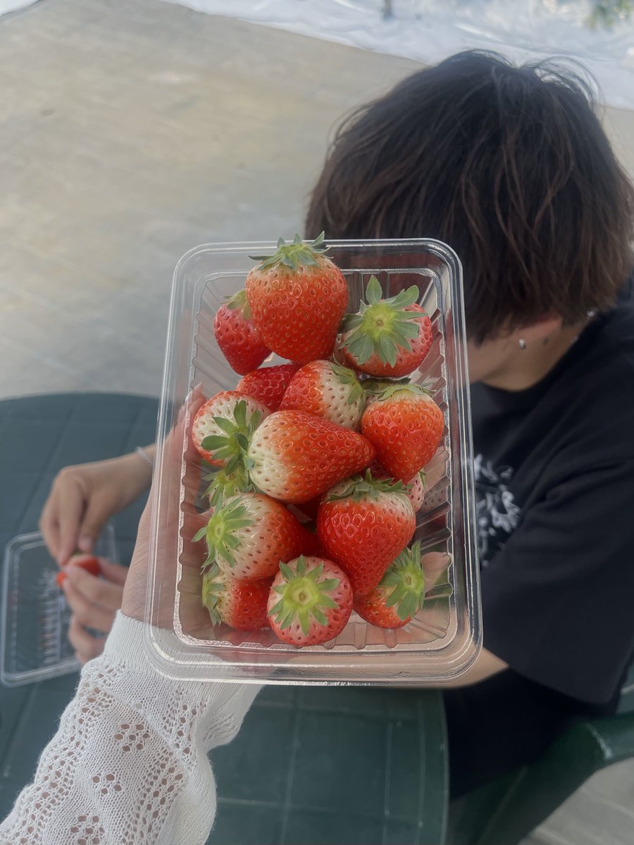 滑り込みでいちご狩りしてきたけどもうほぼ草だった🍀