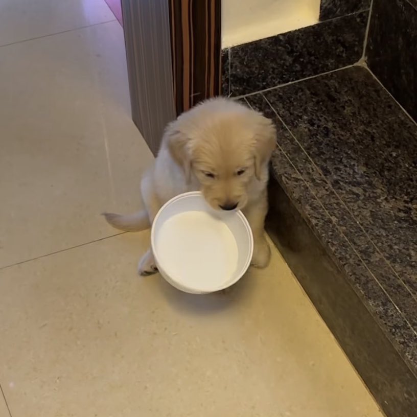 คนจ๋วย ขอข้าวกิมหน่อยค่าบ 🥺 (เพิ่งกินเสดมะกี้)