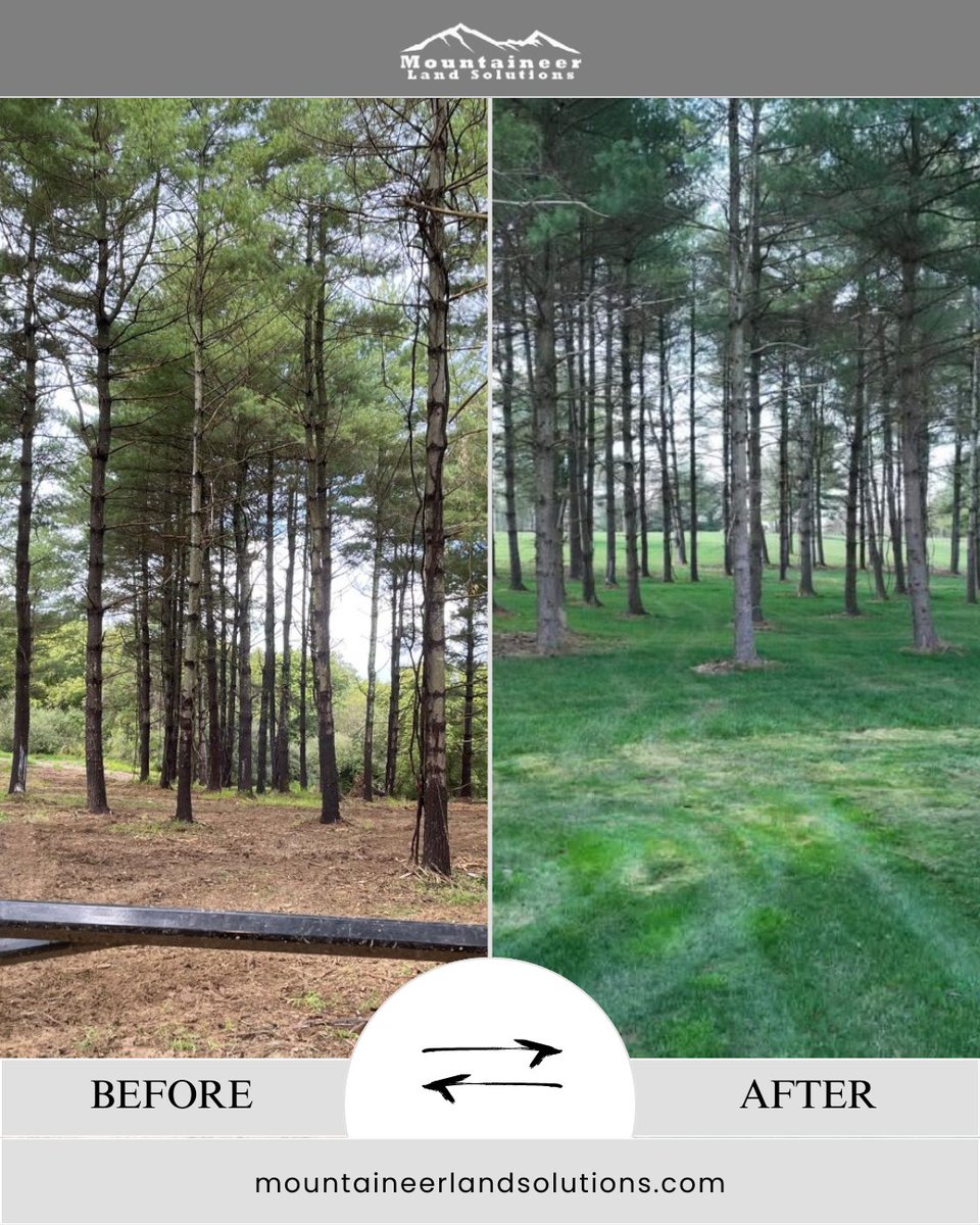 mountaineerland's tweet image. See the transformation — built for purpose, guided by experience.

At Mountaineer Land Solutions, we take the time to understand your property’s needs, then shape it for long-term growth, access, and sustainability.

#forestmanagement #landclearingservices #propertytransformation