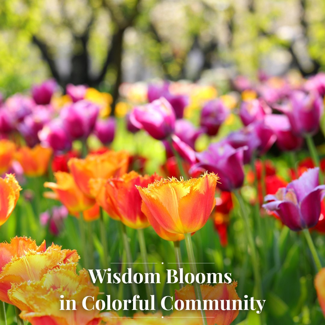 JeffreyKeefer's tweet photo. These tulips won't bloom alone; they blend their colors in a celebration of contrast and harmony. Nature reminds us that we thrive best in communities that value our differences. The most beautiful gardens, like meaningful lives, embrace variety over uniformity. https://t.co/QPOcLFxESh