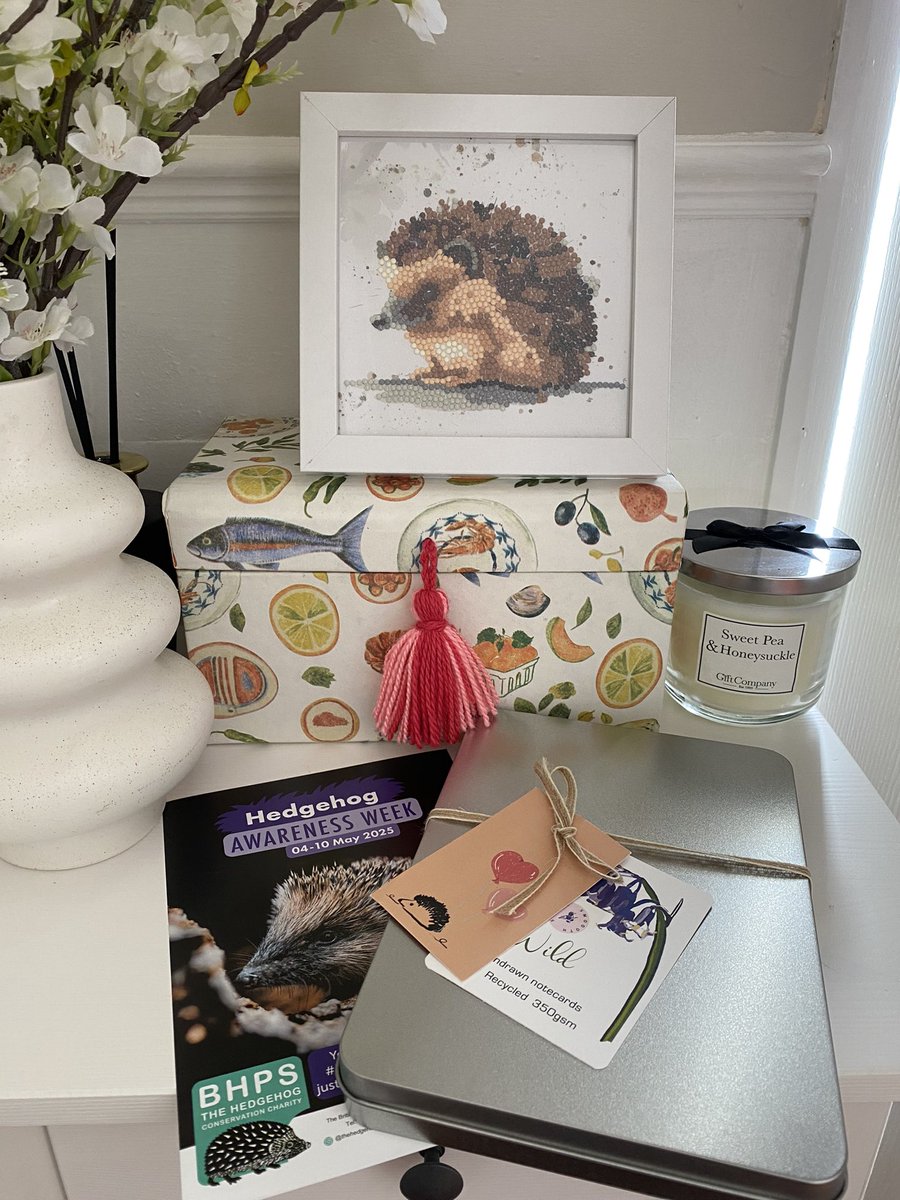 Kelly Melissa (@kellymelissa_x) on Twitter photo <a href="/hedgehogsociety/">Hedgehog Society</a> <a href="/Smoothscribe/">Smooth scribe</a> Thank you again for the wonderful prize! Hedgehogs are awesome 🦔🩷 <a href="/hedgehogsociety/">Hedgehog Society</a> <a href="/Smoothscribe/">Smooth scribe</a> Thank you again for the wonderful prize! Hedgehogs are awesome 🦔🩷