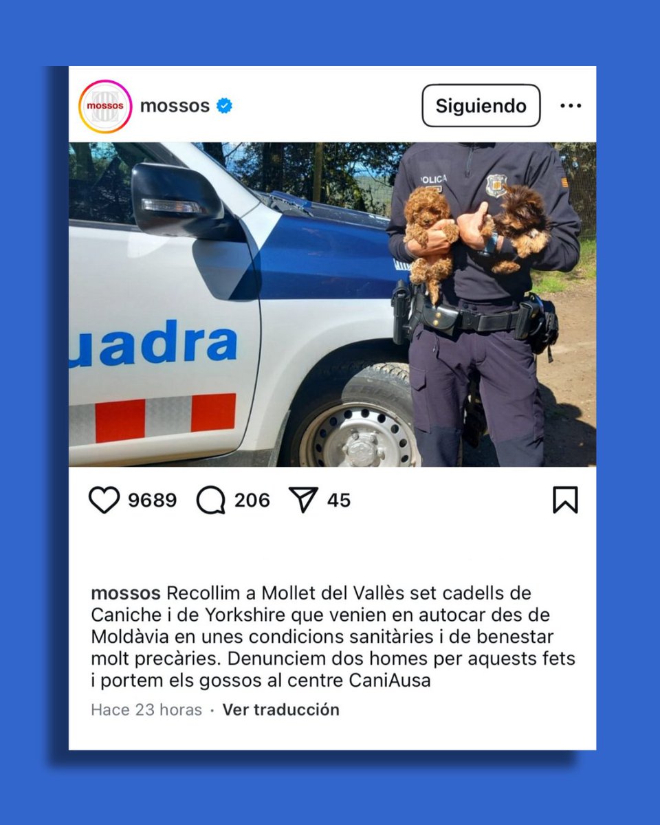 Policia Polinyà tweet media