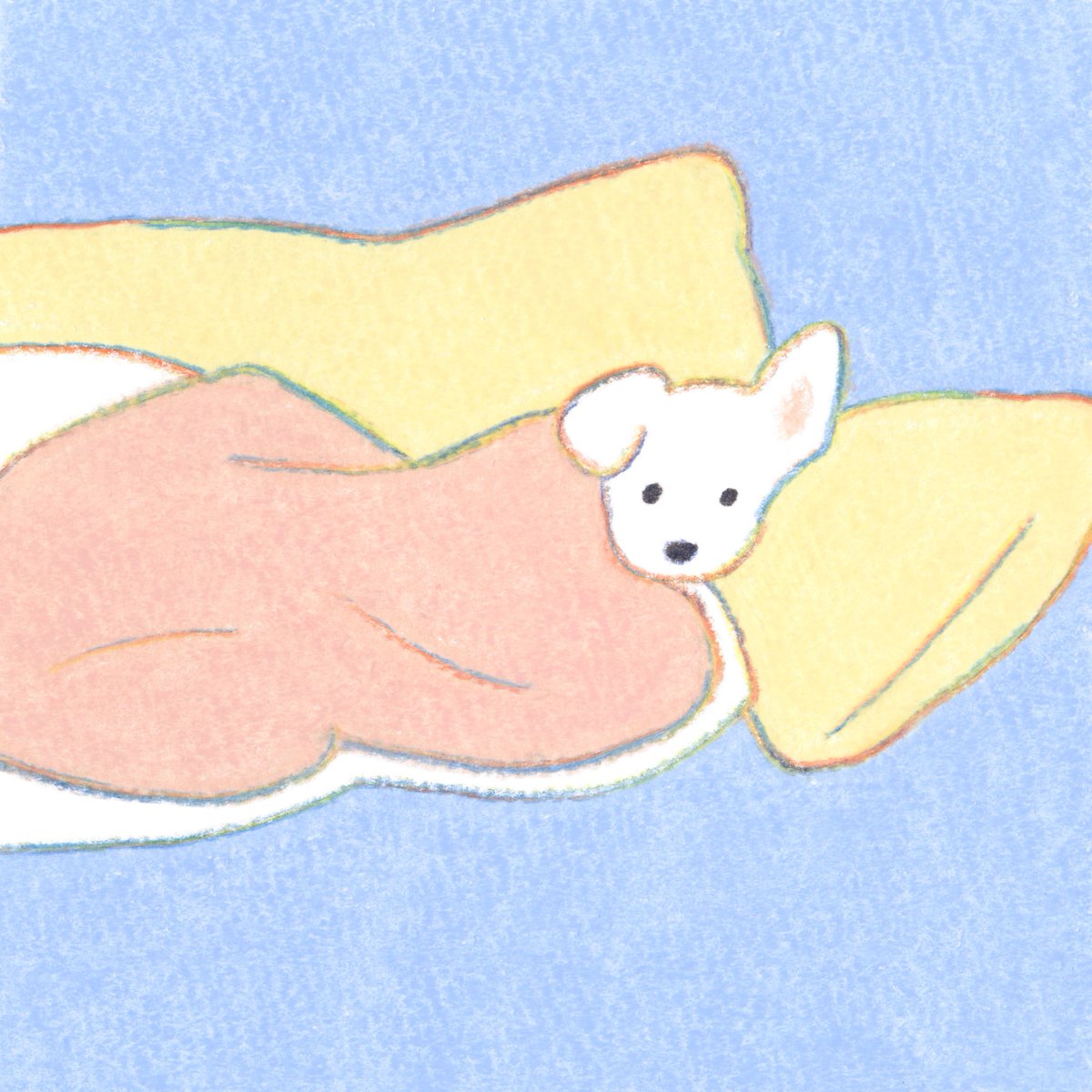 てらおかなつみ (@teraoka_natsumi) on Twitter photo 