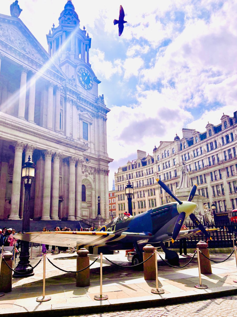 Too_grumpy's tweet image. #VEDay80 #pigeon