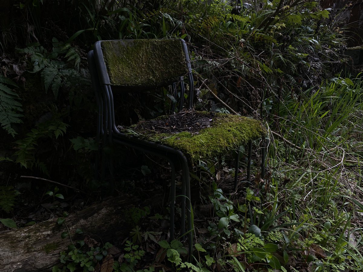 ksksksksksks_14's tweet image. 自然に還ろうとしてる椅子
#iPhone11pro
#Photo