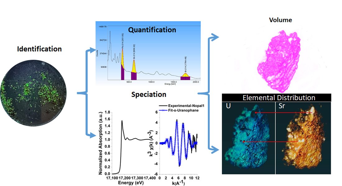 Minerals_MDPI's tweet image. 🔬 New #EditorChoice article in Minerals!
&quot;Uranium Mineral Particles from Weathering in Sierra Peña Blanca, Mexico: A Synchrotron Study&quot;
📖 Open Access: mdpi.com/2075-163X/15/4…
🛰️ Techniques: #XANES #EXAFS #XRFµCT
#Uranium #Mineralogy #Isotopes #OpenAccess #MDPI