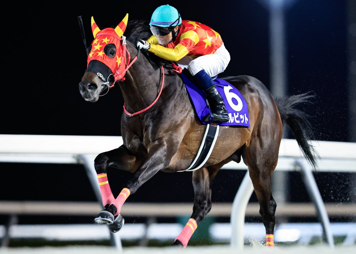 コスモバルク記念