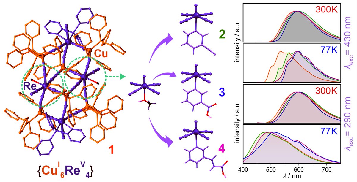 Multifunctional Luminescent Materials Group (MLMG) (@multilumimater) on Twitter photo Two types of efficient luminophores based on Cu(I) and Re(V) centers were combined in decanuclear clusters exhibiting excitation- and T-dependent emission, further modulated by 3-substituted-pyridine ligands. Check out our newest article in <a href="/ChemCommun/">Chemical Communications</a> pubs.rsc.org/en/content/art… 🥳 Two types of efficient luminophores based on Cu(I) and Re(V) centers were combined in decanuclear clusters exhibiting excitation- and T-dependent emission, further modulated by 3-substituted-pyridine ligands. Check out our newest article in <a href="/ChemCommun/">Chemical Communications</a> pubs.rsc.org/en/content/art… 🥳