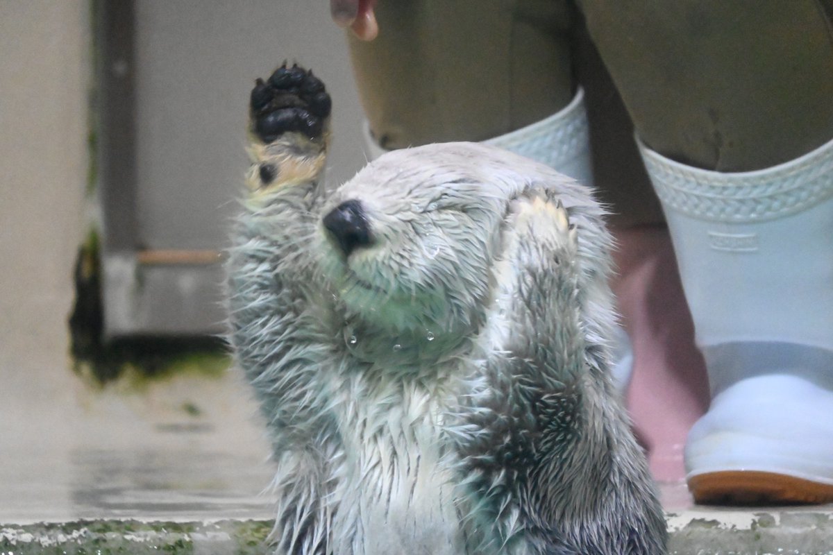 メイちゃん21歳おめでとう！！
いつまでも元気なメイちゃんでいてね