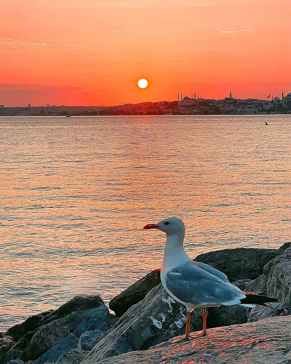 Good evening İstanbul ..... 🌷

📸 : serkancck 👏