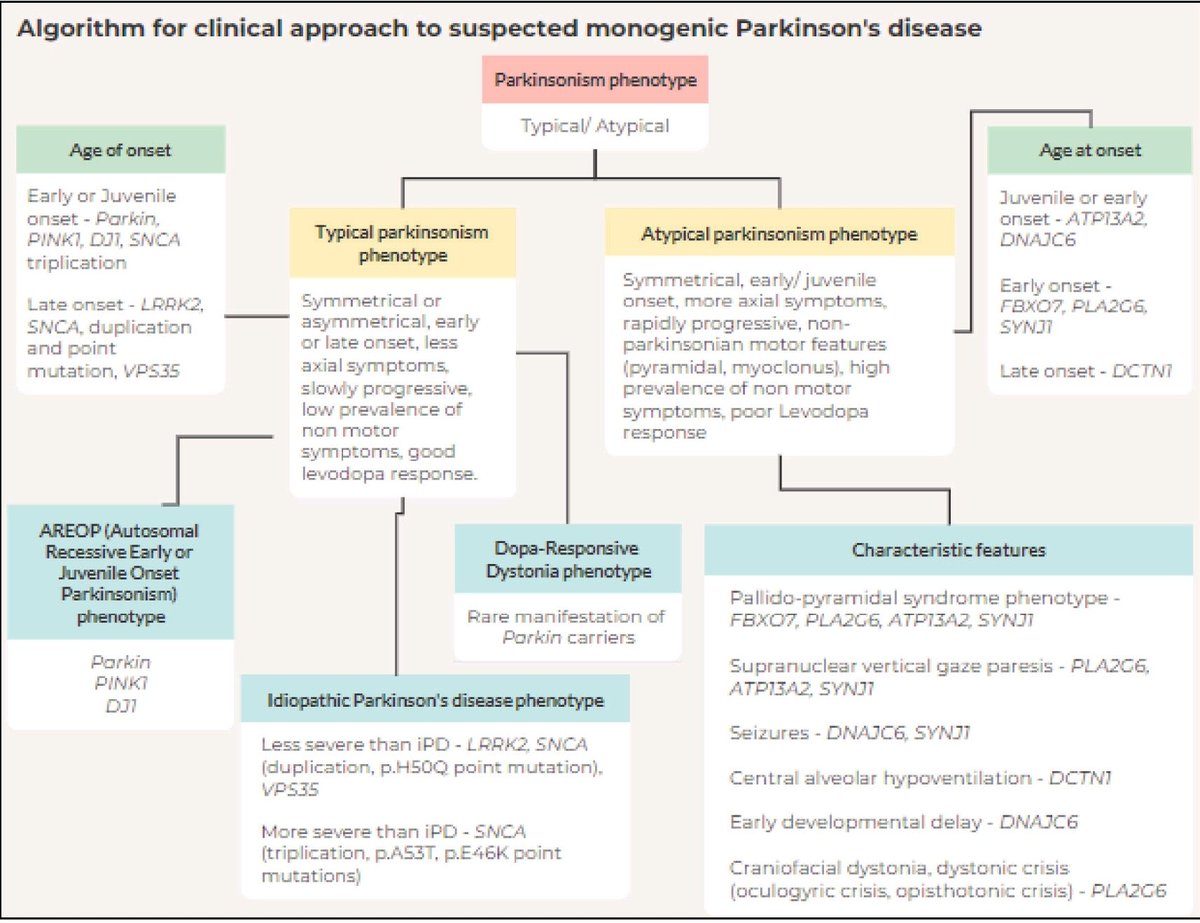 dr_heli's tweet photo. Phenomenal clinical approach to monogenic Parkinson's disease by Dr Asha Kishore &amp; Dr Manu Girija @ Annals of movement disorders, April 2025
10.4103/aomd.aomd_100_24 https://t.co/kz1V98jRnn