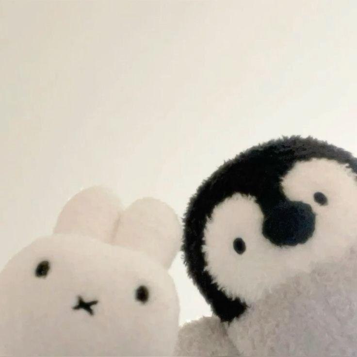 cdoll's tweet photo. https://t.co/EurgskJICW