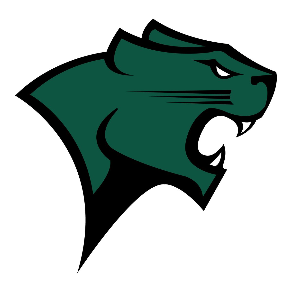 drenobless's tweet image. After a great conversation with the coaching staff, l'm blessed to receive my first division one offer from Chicago State University.⚪️🟢 #AGTG #GoCougars