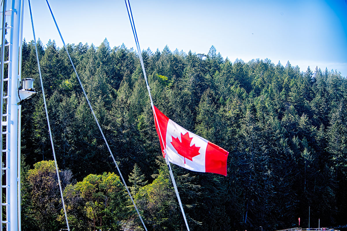 🇨🇦 True North Strong and Free 🇨🇦 #canada #elbowsup #madeincanada #buycanadian #flagaday