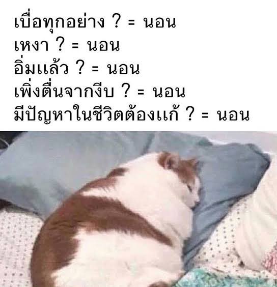 รีวิวชีวิตกุในทุกวันๆ :