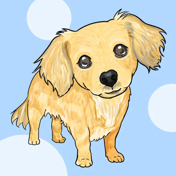 チワックスを描きました 