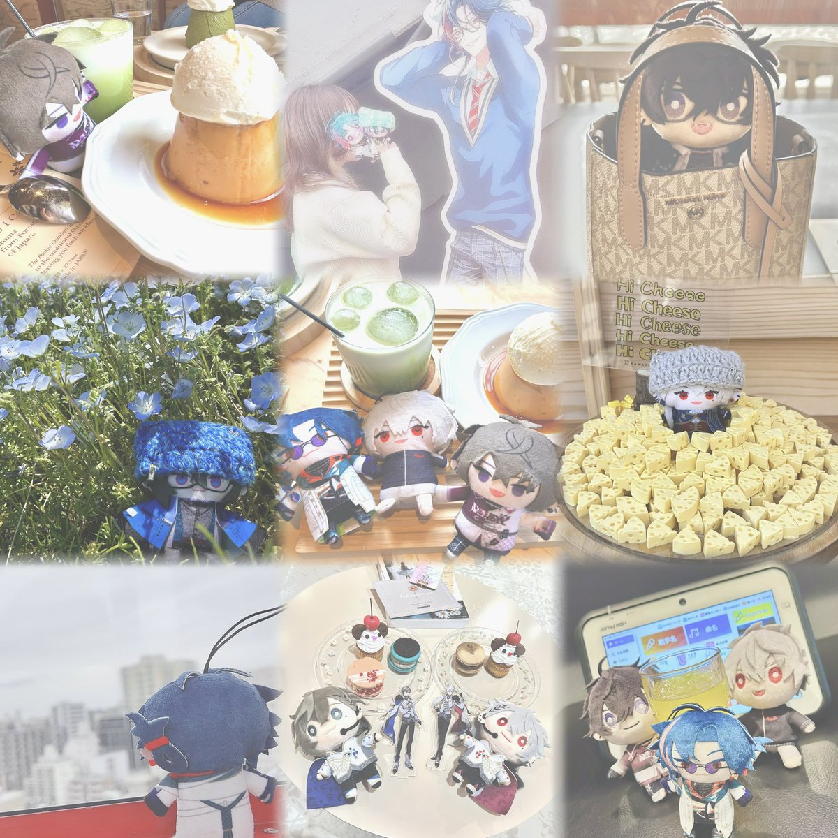 ガジュマルの木 tweet media