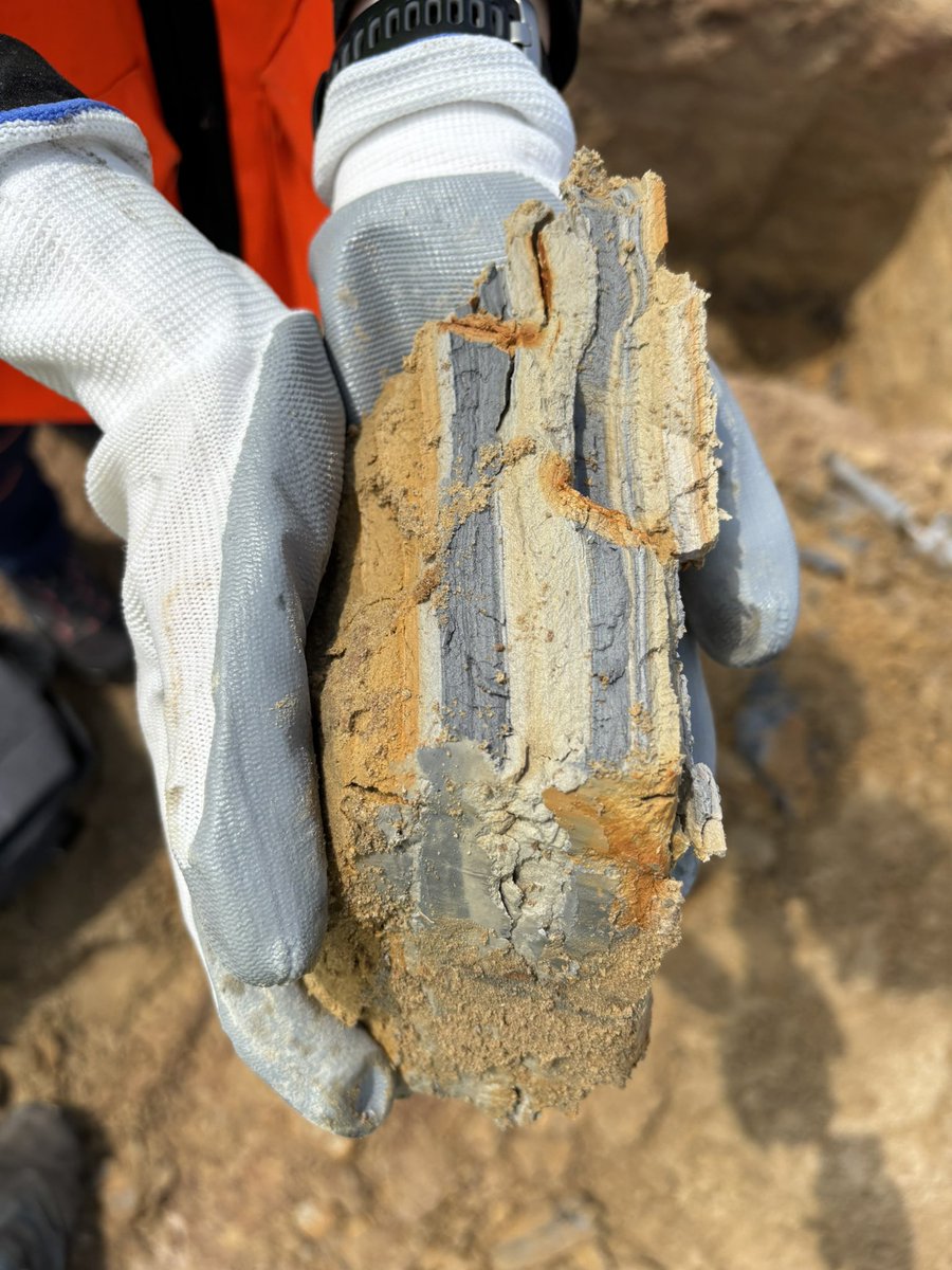 Diego Baragaño (@d_baragano) on Twitter photo Are mining wastes a sustainable source of critical raw materials? At <a href="/IGME1849/">Instituto Geológico y Minero de España</a>, we are trying to contribute our bit to the answer. Are mining wastes a sustainable source of critical raw materials? At <a href="/IGME1849/">Instituto Geológico y Minero de España</a>, we are trying to contribute our bit to the answer.